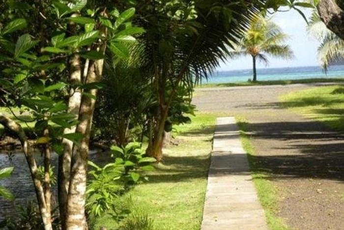 Kosrae's lush coastline where the rainforest meets the lagoon