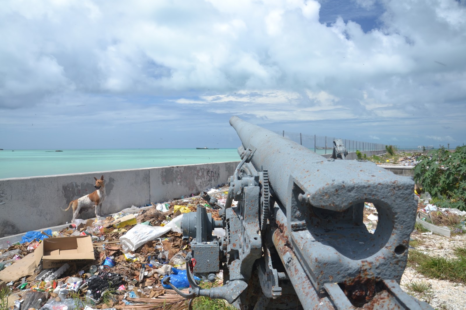 Battle of Tarawa