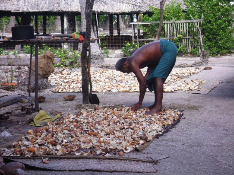 Tabiteuea copra drying in the sun